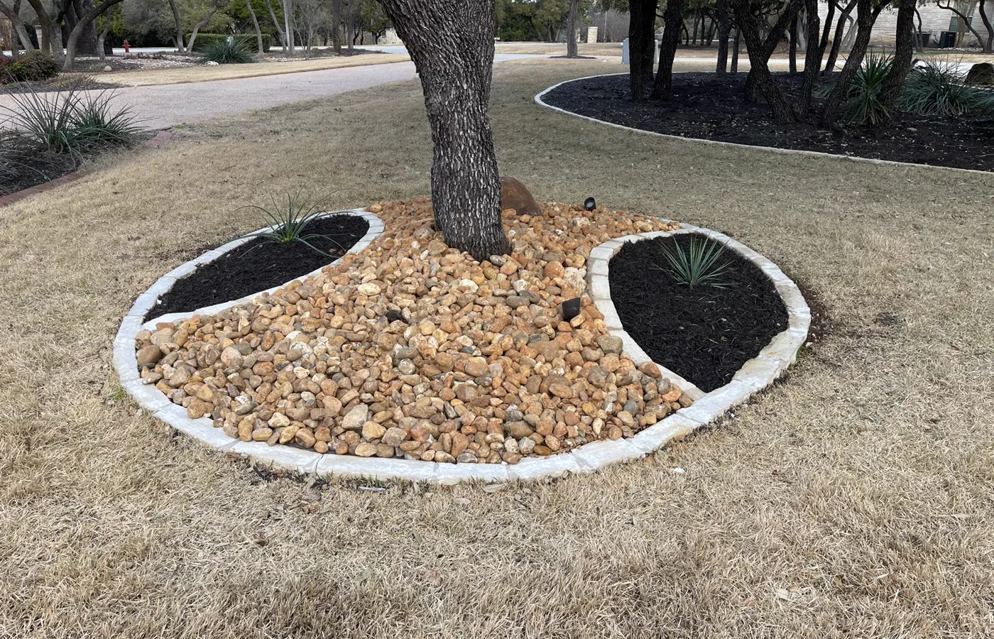 Safe mulch ring around a mature Cedar Park tree