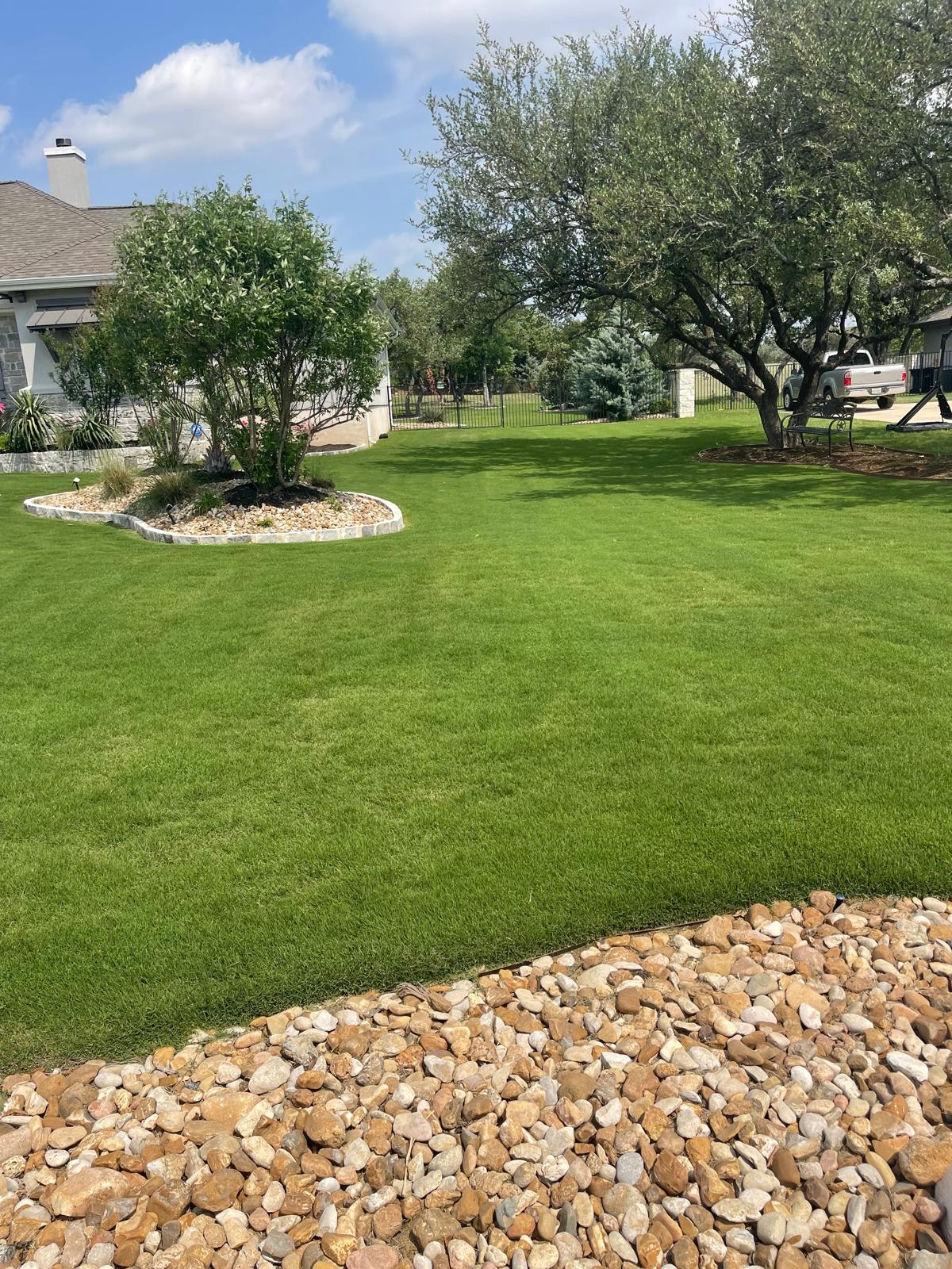 Backyard Lawn Renovation