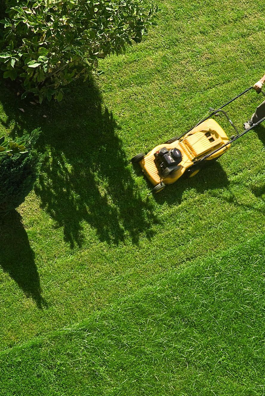 Professional lawn mowing service