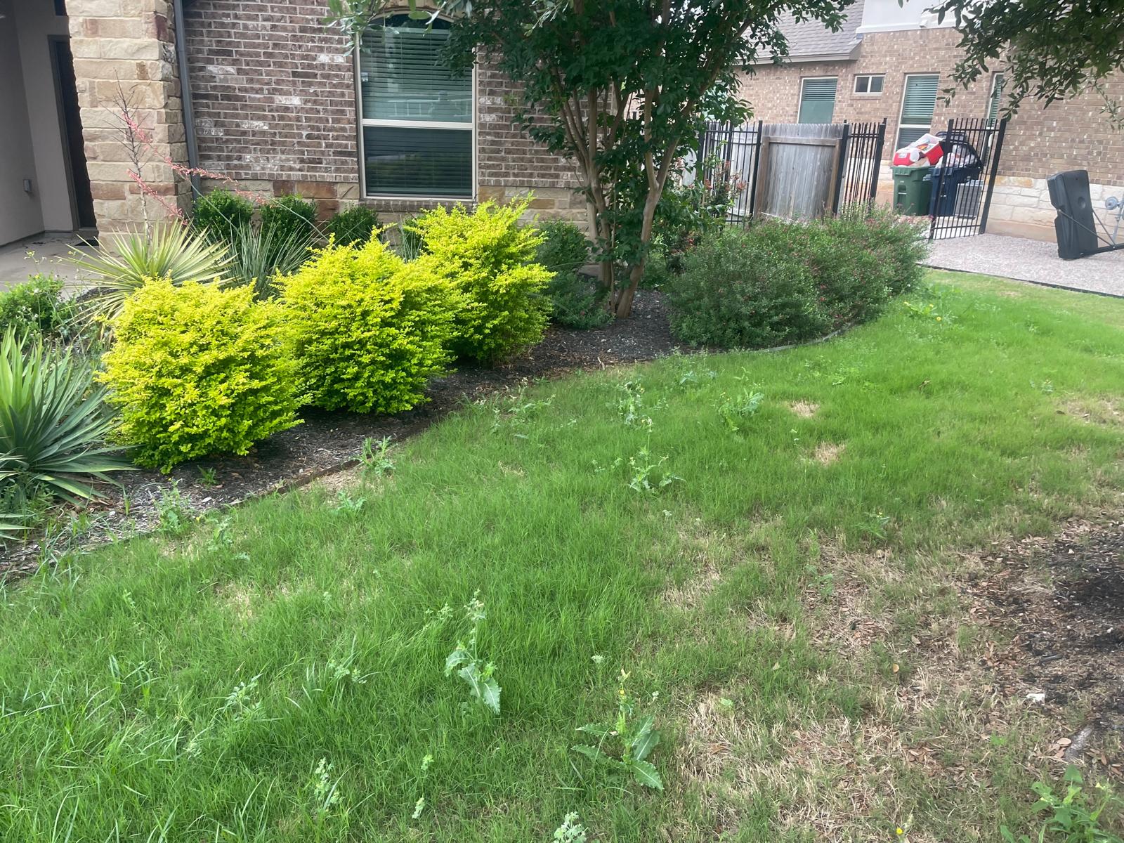 Professional Fence Installation