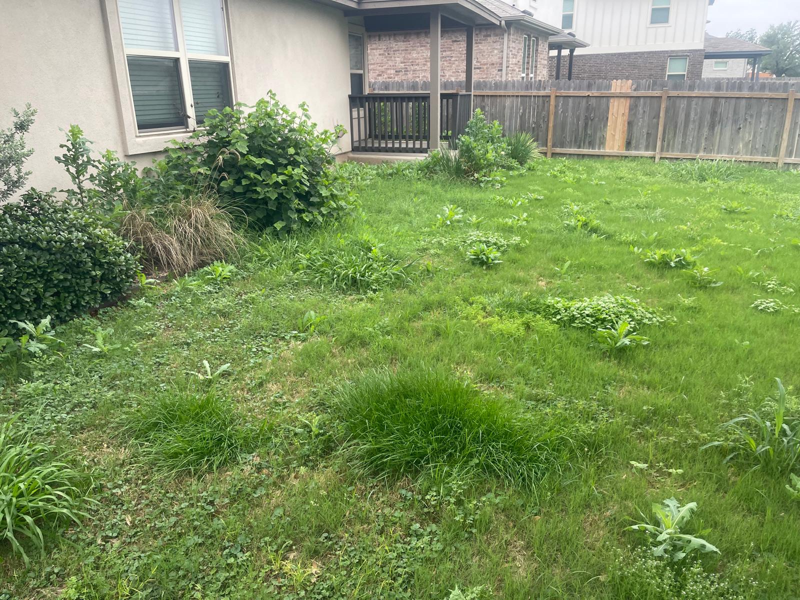 Recent Landscaping Project